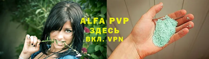 A-PVP СК  Салават 